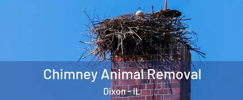 Chimney Animal Removal Dixon - IL