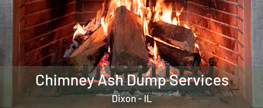  Chimney Ash Dump Services Dixon - IL