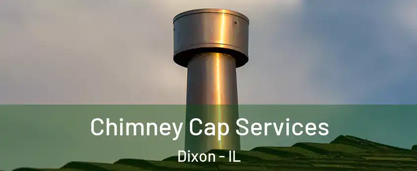  Chimney Cap Services Dixon - IL