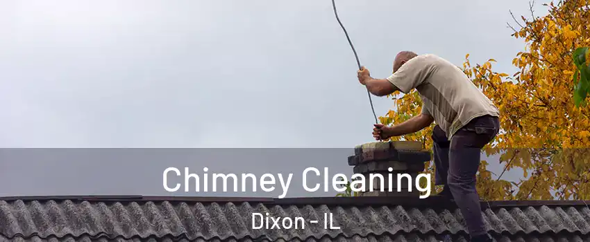  Chimney Cleaning Dixon - IL
