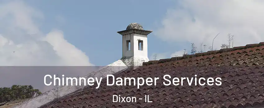  Chimney Damper Services Dixon - IL