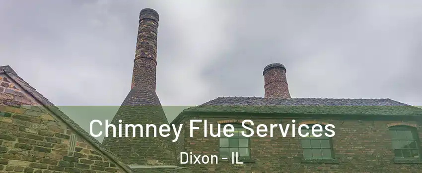  Chimney Flue Services Dixon - IL