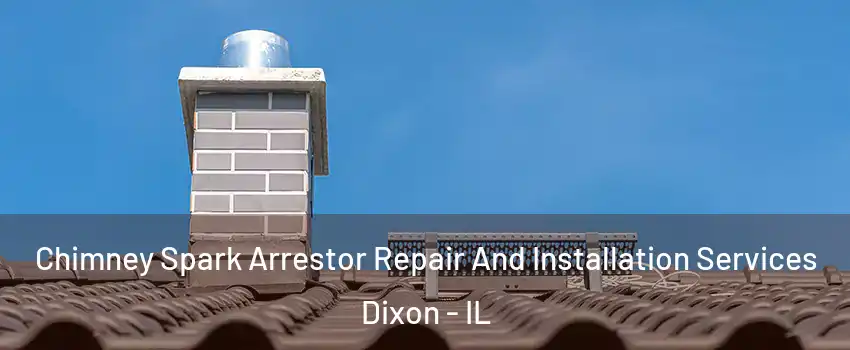  Chimney Spark Arrestor Repair And Installation Services Dixon - IL