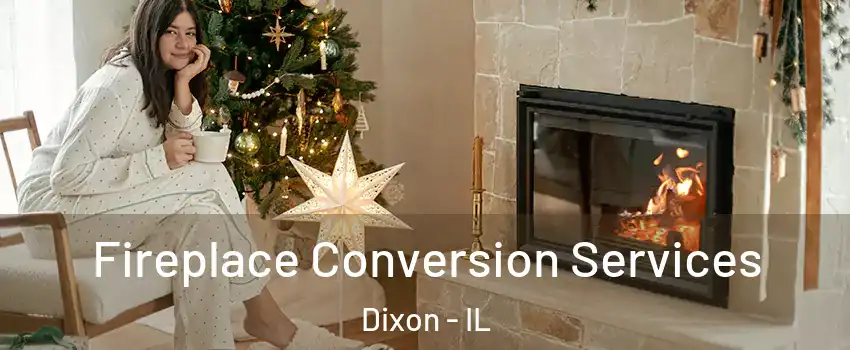  Fireplace Conversion Services Dixon - IL