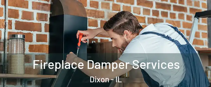  Fireplace Damper Services Dixon - IL