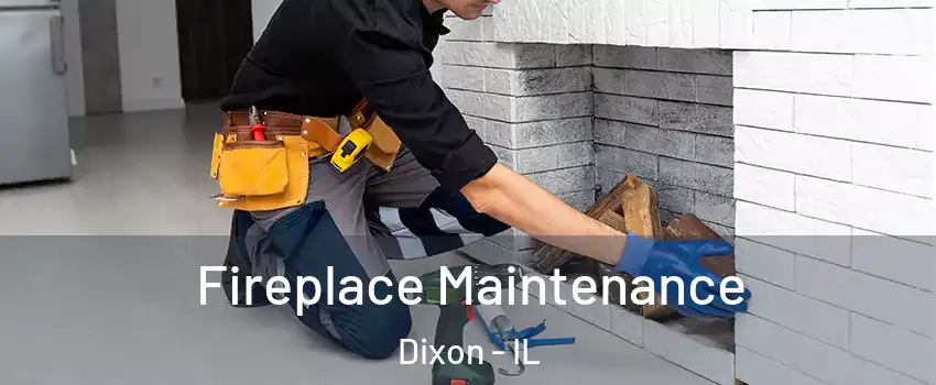  Fireplace Maintenance Dixon - IL