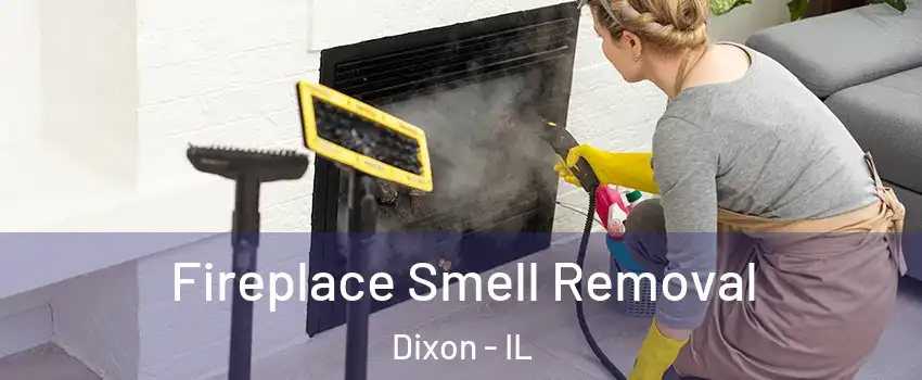  Fireplace Smell Removal Dixon - IL