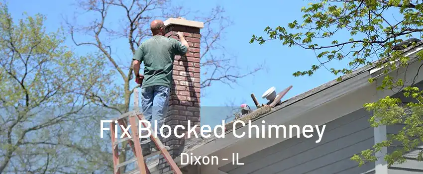  Fix Blocked Chimney Dixon - IL