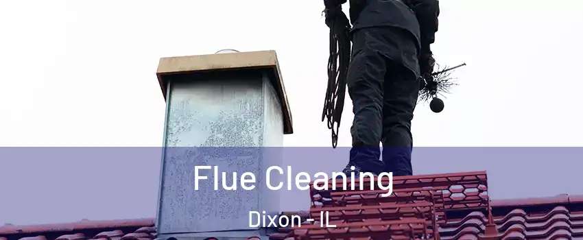  Flue Cleaning Dixon - IL