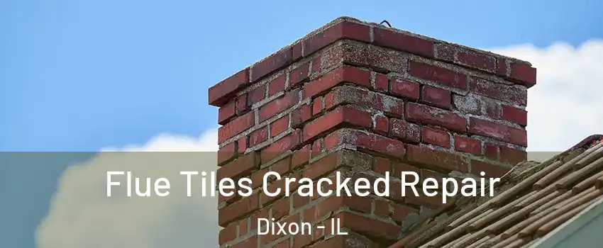  Flue Tiles Cracked Repair Dixon - IL
