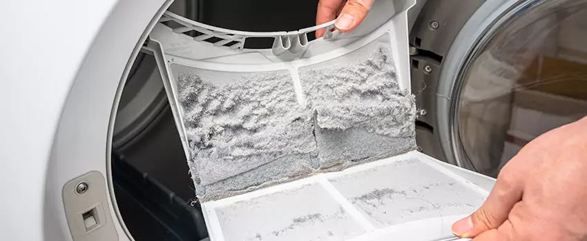 Best Dryer Lint Removal Company in Dixon, Illinois