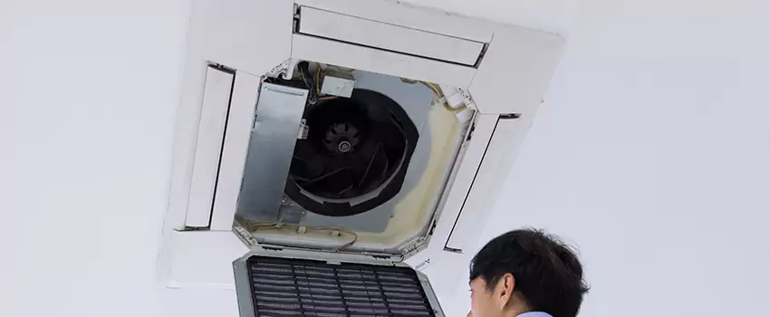 Benefits of Professional Air Duct Cleaning in Dixon, Illinois