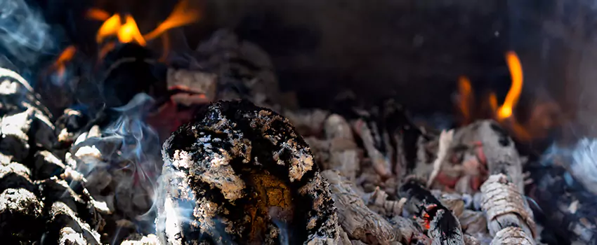 Creosote Removal Experts in Dixon, IL