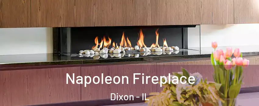  Napoleon Fireplace Dixon - IL