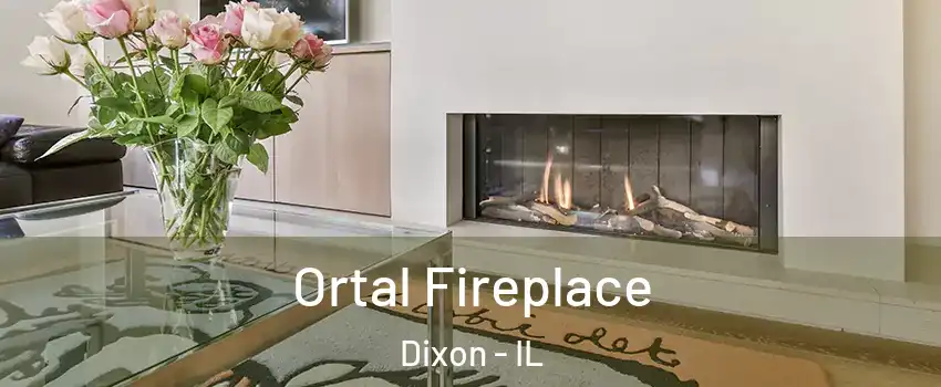 Ortal Fireplace Dixon - IL
